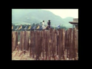 1977 - Секрет Столбов Шаолиня / Fang Shi Yu da po mei hua zhuang