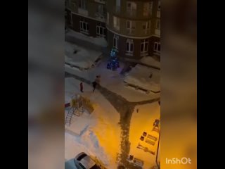 В Волгограде пьяный контрактник сломал оленя)