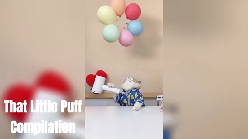 That Little Puff - That Little Puff Compilation | Life Hacks Experiment Meow