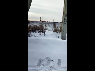 Video van ЧП Ленинск-Кузнецкий 112