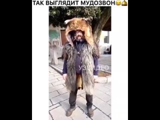 Так выглядит мудозвон