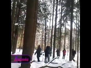 драки в троицком лесу с активистами