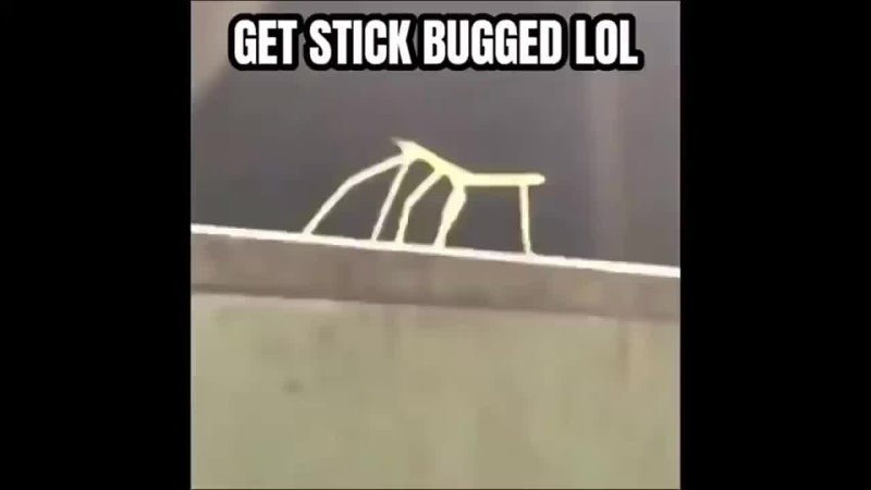 Get stick bugged