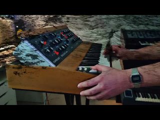 The Sound of Tangerine Dream - Moog Minimoog (2022).