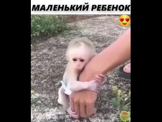МАЛЕНЬКИЙ РЕБЕНОК