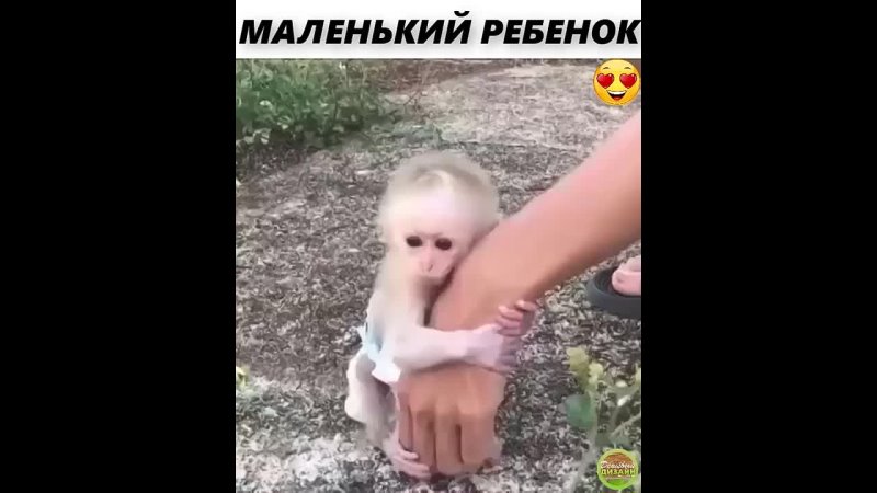 МАЛЕНЬКИЙ