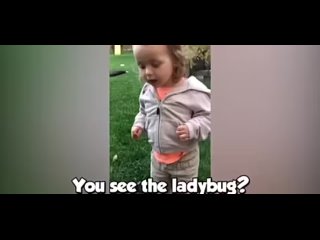 See the Ladybug?