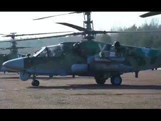 КА-52 Аллигаторы ВКС России на Украине находят добычу по запаху сала. Приказ на заготовку фашистской свинины