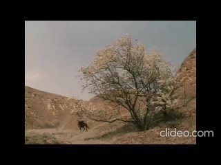 Video by Место встречи - Одесса
