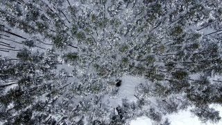 Зимняя природа