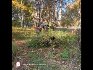 🧹 В Рязани прошел первый общегородской субботник

9 октября, в рамках осеннего месячника по благоустройству, состоялся первый об