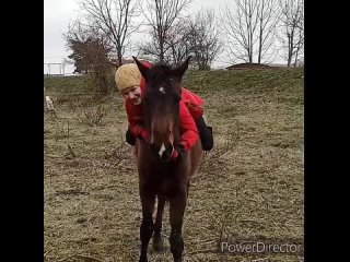 Лошадь – это не только средство передвижения, но и полтонны легкоусвояемого диетического мяса 🥩

Спокуха, не переживай за @bagryan_horse