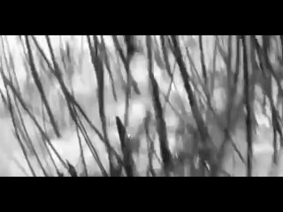 Марианна(1967)