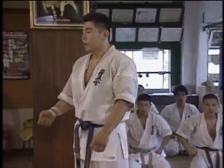 6-й Чемпионат мира ИКО (1995). Подготовка японской сборной команды.