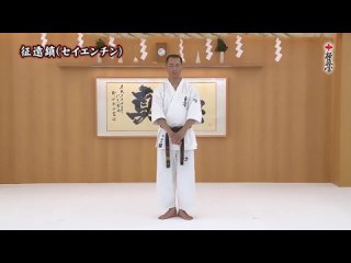 Kata Seienchin New version