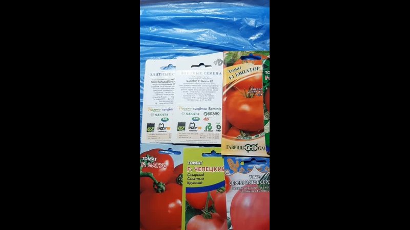 Сорта и гибриды томата устойчивые к кладоспориозу (toma gotovit )