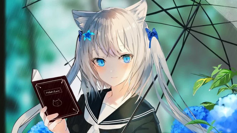 Nekochan - Reading a Book in the Rain