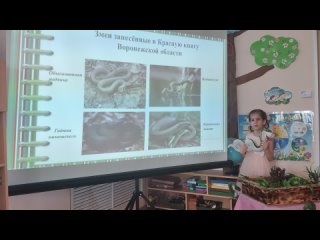 Протасова Дарина, 6 лет, Проект “Удивительный мир ползучих и шипучих“