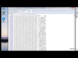 [01 Intro] 003 Tools - Hex Editor