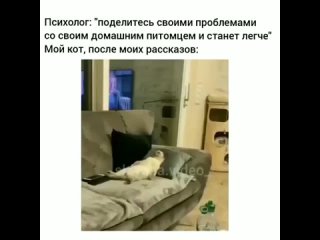 Это надо переварить