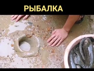 Аааа! Мне срочно нужен такой такса-крокодил!