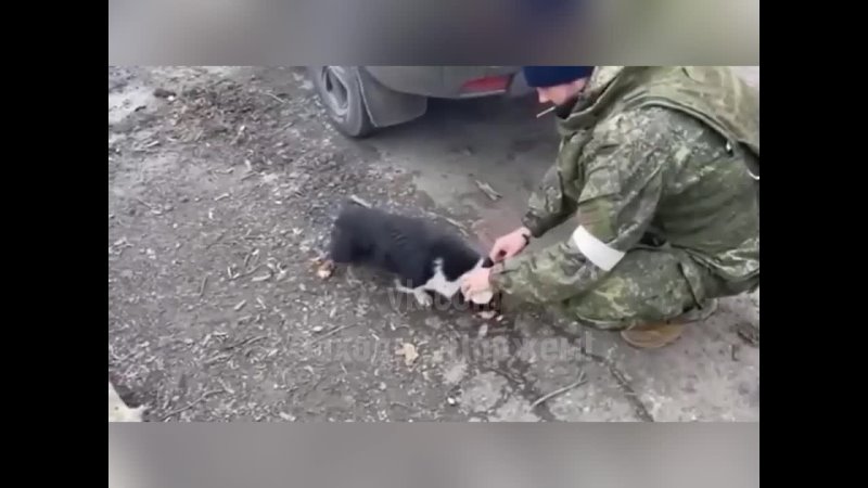 Русские солдаты кормят бездомных