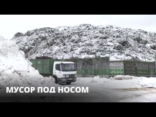 На заводе МПБО-2 займутся раздельным сбором мусора