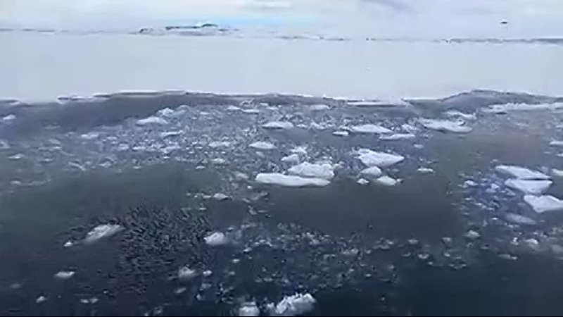 Ship ramming into ice on