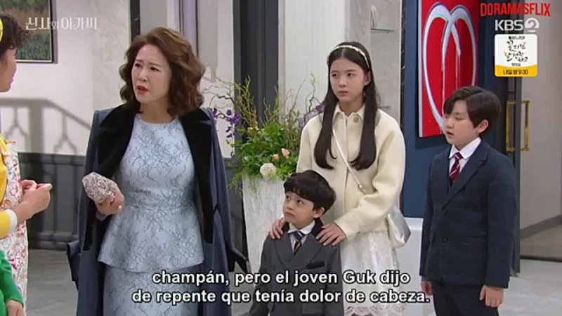 Ver Young Lady and Gentleman episodio 26 online sub español