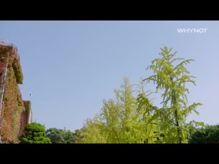 15 серия Лучшая ошибка 3 / Гым Донхён (Keum Donghyun) Epex