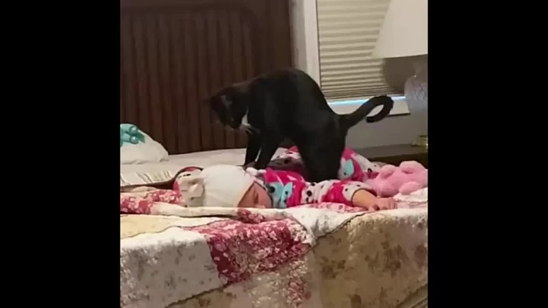 Кошачий массаж