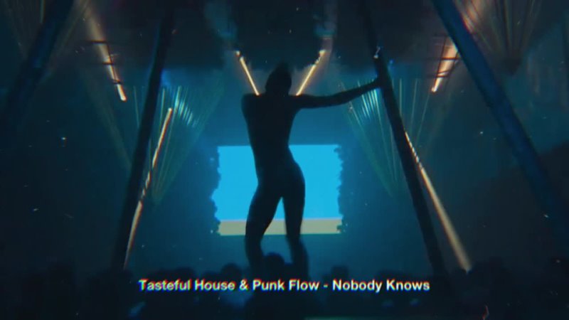 Tasteful House Punk Flow Nobody