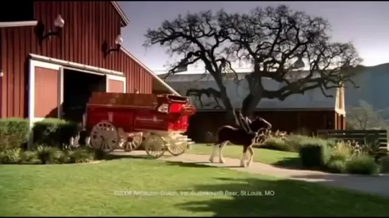 Top 5 Budweiser Commercials Clydesdale Horses Farting