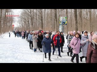 Во Всероссийской акции 10 000 шагов к здоровью приняло участие более 1000 новочебоксарцев