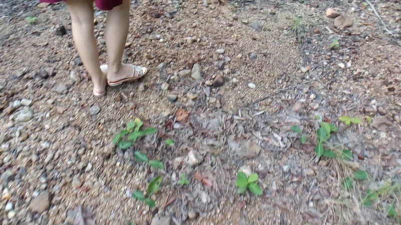 Thai Couple Walking in the Forest and Fucking Cum Gets a Creampie. Fucking Doggystyle พาไปเย