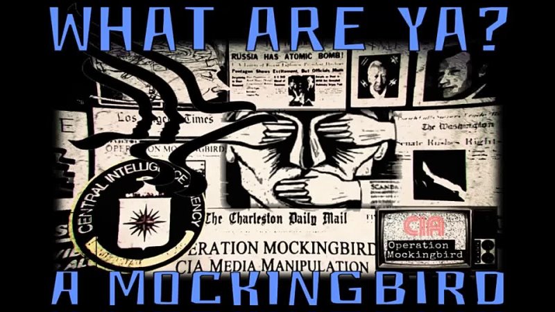 What are ya? A Mockingbird ✹ Ryan Daniel Gable / The Secret Teachings ( March 7, 2022 )