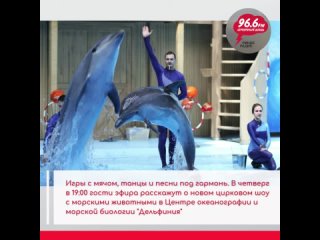 Гости эфира расскажут о новом шоу в  Центре океанографии и морской биологии “Дельфиния“