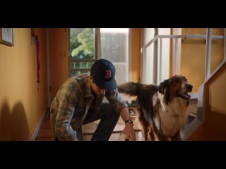 Руби, собака-спасатель (2022)  драма, семейный, биография