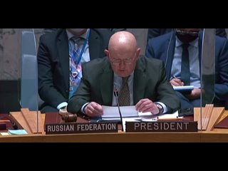 Василий Небензя на заседании Совбеза ООН