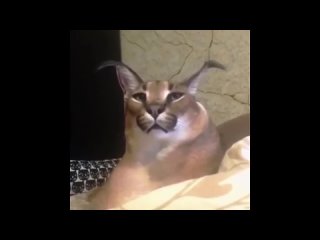 Неизвестен - Без названия