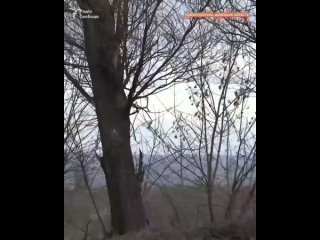 Укры попали под обстрел в Новолуганском