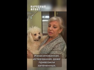 Любовь Лазарева