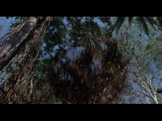 Хищник (1987) /Predator