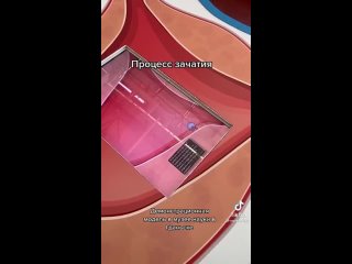 Жи и ши пишутся с буквой и - Лилия Тимербаева