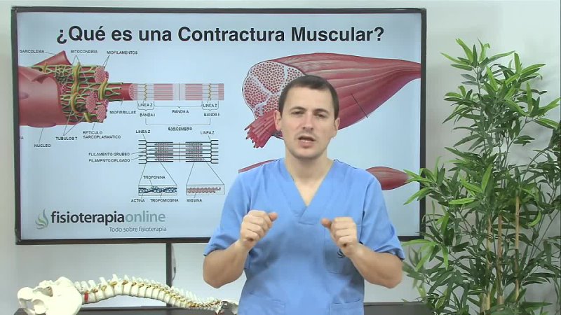 Contractura Muscular - Fisioterapia