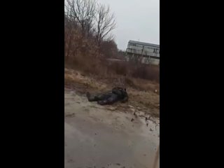 Въезд в Новый Айдар (ныне ЛНР) мимо разгромленного блокпоста с трупами укроповцев (27 февраля 2022) :