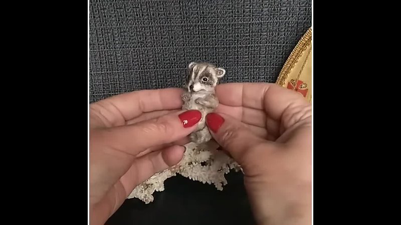 Miniature raccoon