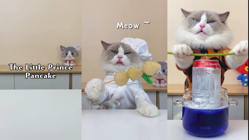 That Little Puff - That Little Puff | January funny compilation2 #thatlittlepuff #catchefmeow