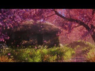 🌸✨SPRING AMBIENCE WITH CHERRY BLOSSOMS_ Stream Sounds, Spring Day Sounds, Splas