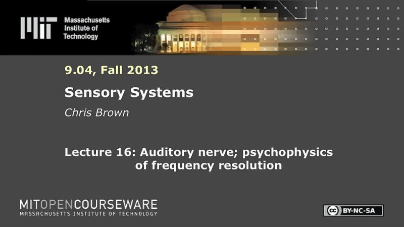 16. Auditory nerve; psychophysics of frequency resolution